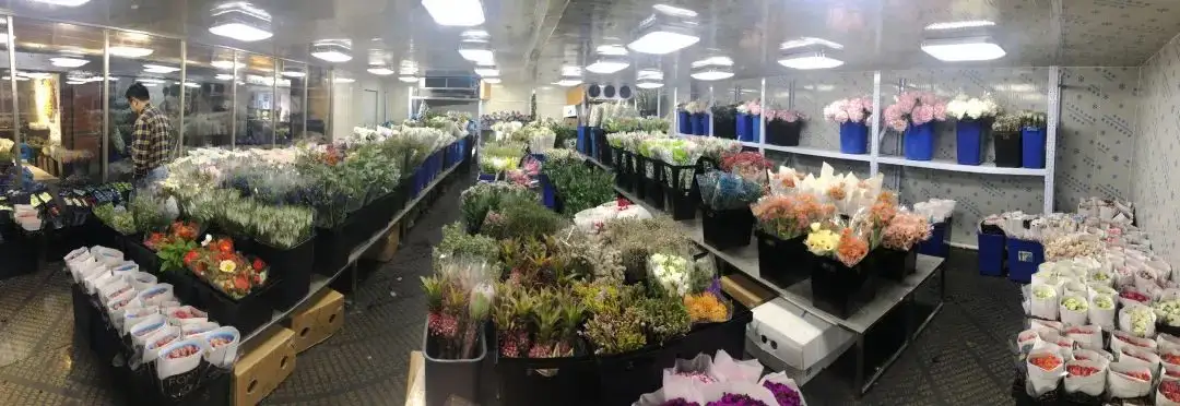 金年会(中国)鲜花